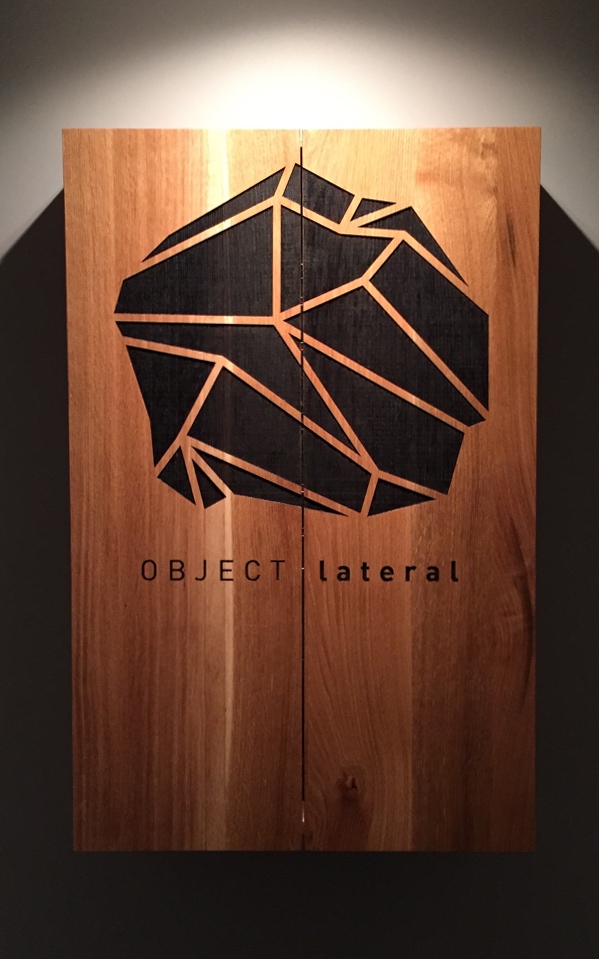 Custom Object Lateral Dartboard Case Pic 1